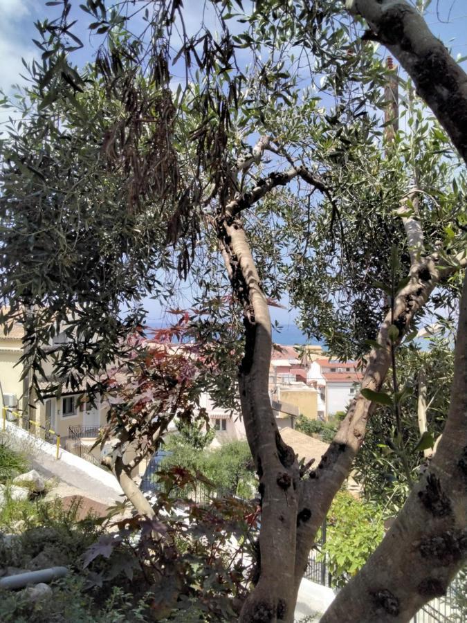 Bungalow Nefeli Agios Gordios  Luaran gambar